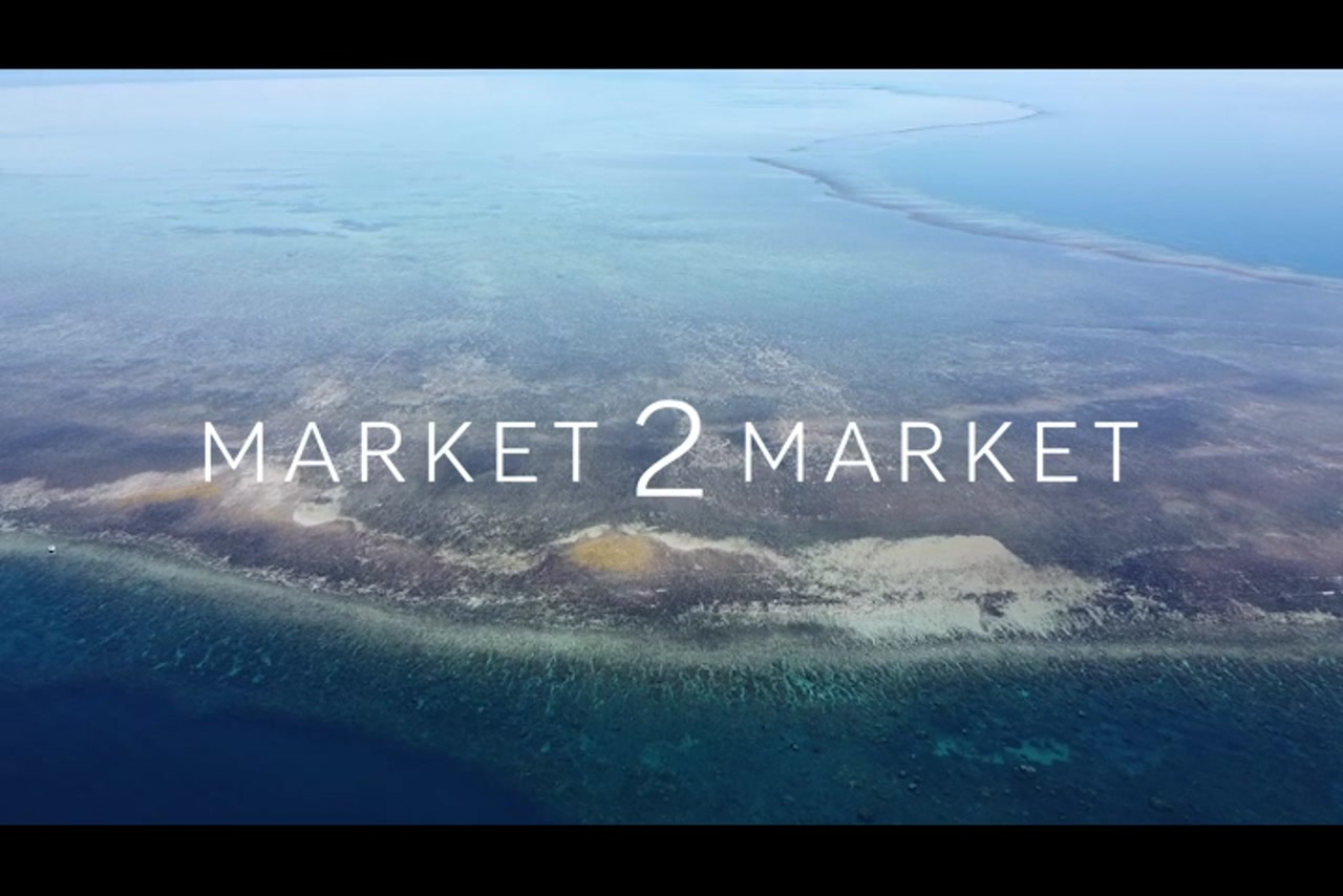 Aerial View Over Reef