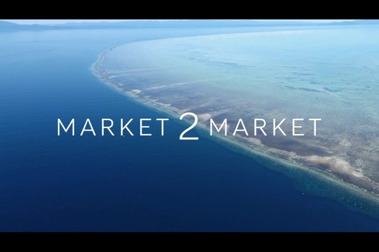 Aerial View Over Reef