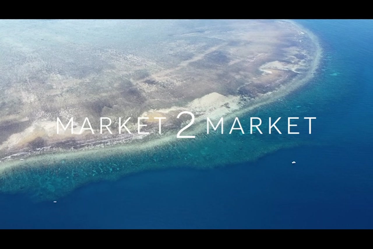 Aerial View Over Reef