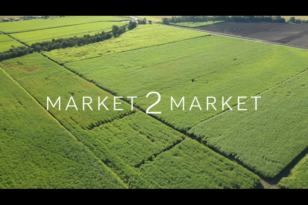 Aerial Footage over Agricultural Fields, Mackay
