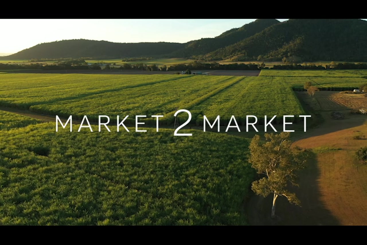 Aerial Footage over Agricultural Fields, Mackay