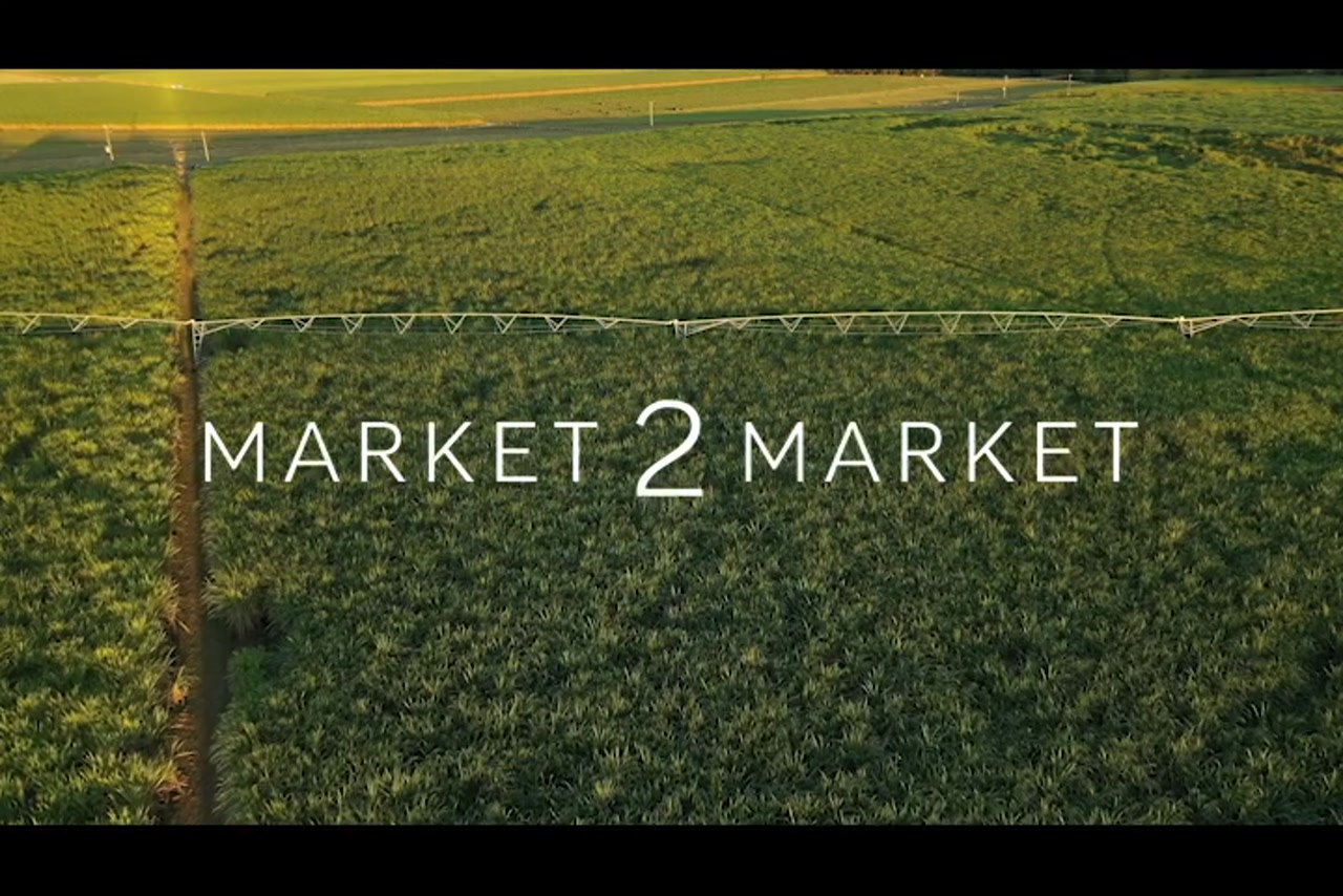 Aerial Footage over Agricultural Fields, Mackay