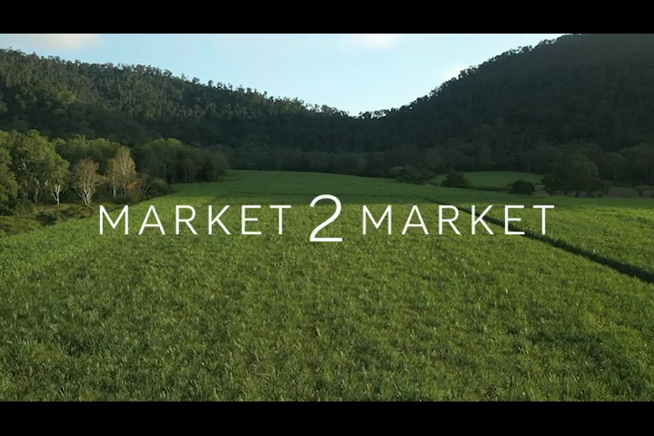 Aerial footage over rural, agricultural field in Mackay
