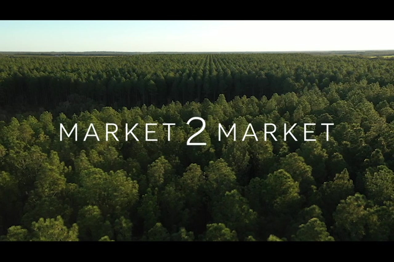 BM_WideBay_DJI_0344_1