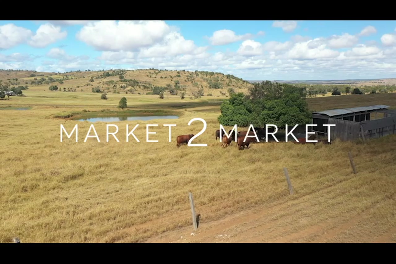 BM_WideBay_DJI_0436_1