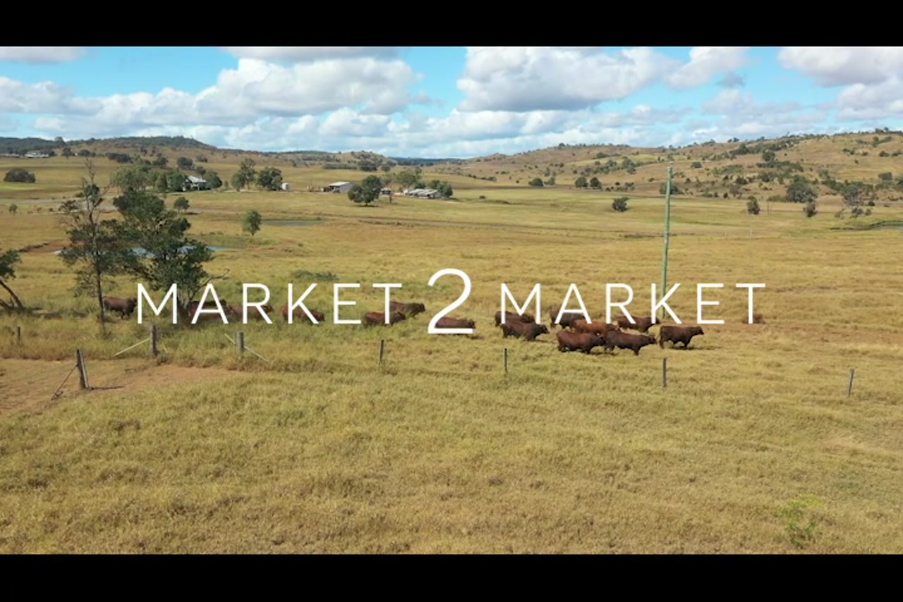 BM_WideBay_DJI_0438_1