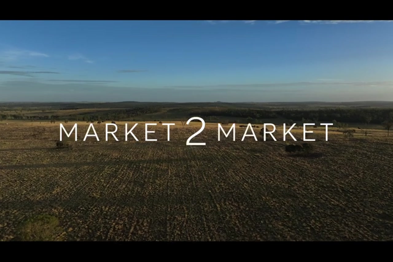 BM_WideBay_DJI_20240212044328_0005_D_1