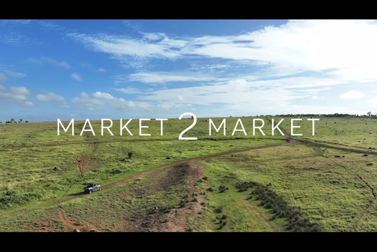 BM_WideBay_DJI_20240212061750_0012_D_1