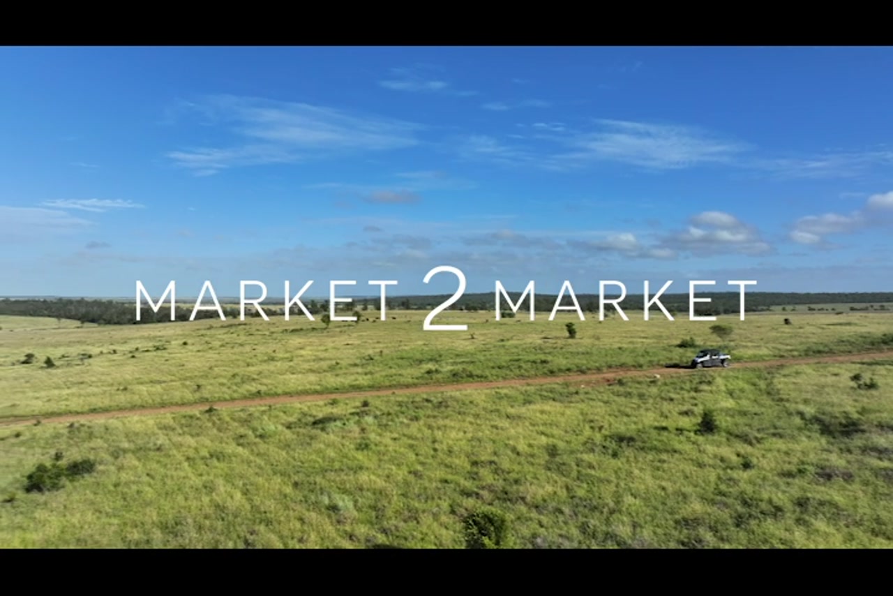 BM_WideBay_DJI_20240212062005_0016_D_1