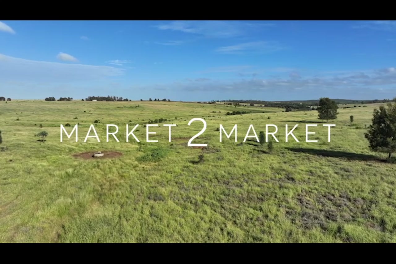 BM_WideBay_DJI_20240212062450_0022_D_1