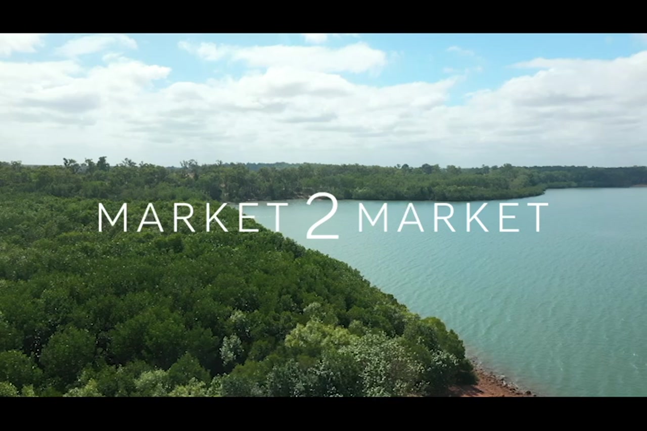 Aerial footage of lake’s edge in Western Cape region – 0295