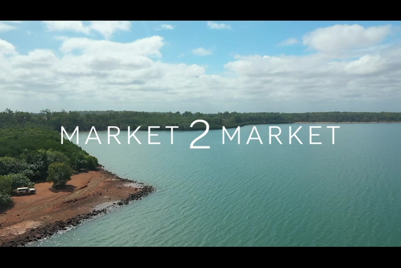 Aerial footage of lake’s edge in Western Cape region – 0296