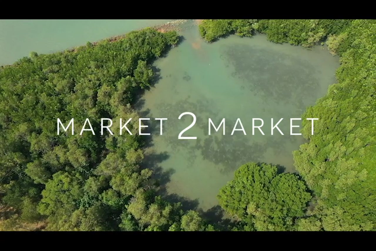 Aerial footage of lake’s edge in Western Cape region – 0299