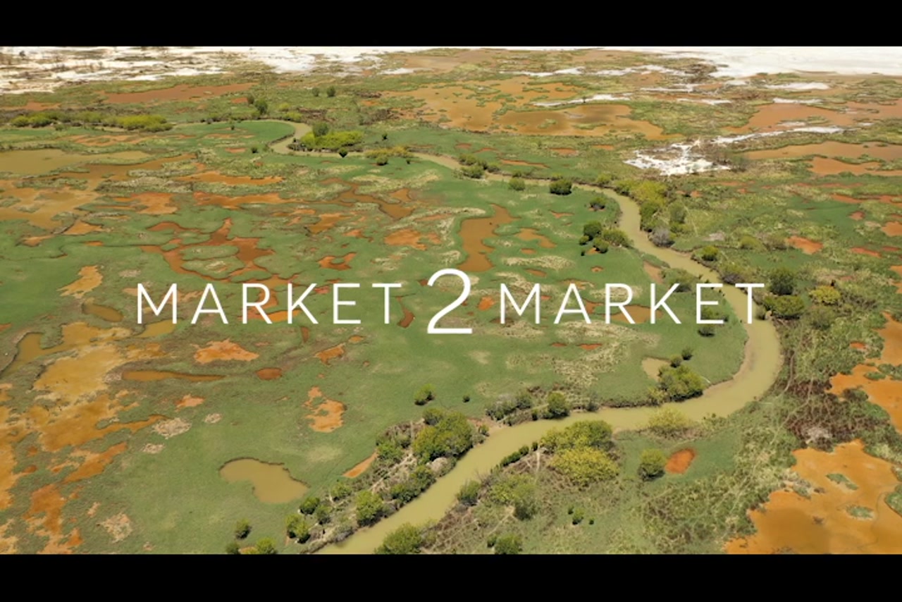 Aerial Footage of swampy creek landscape, Western Cape York – 0451