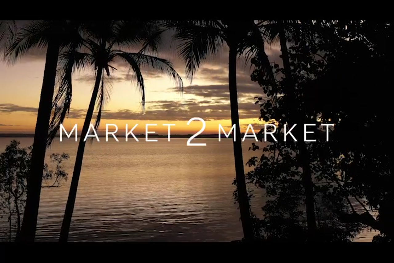 Aerial Footage of silhouette of palm tree and coastline at dusk, Western Cape York – 0611