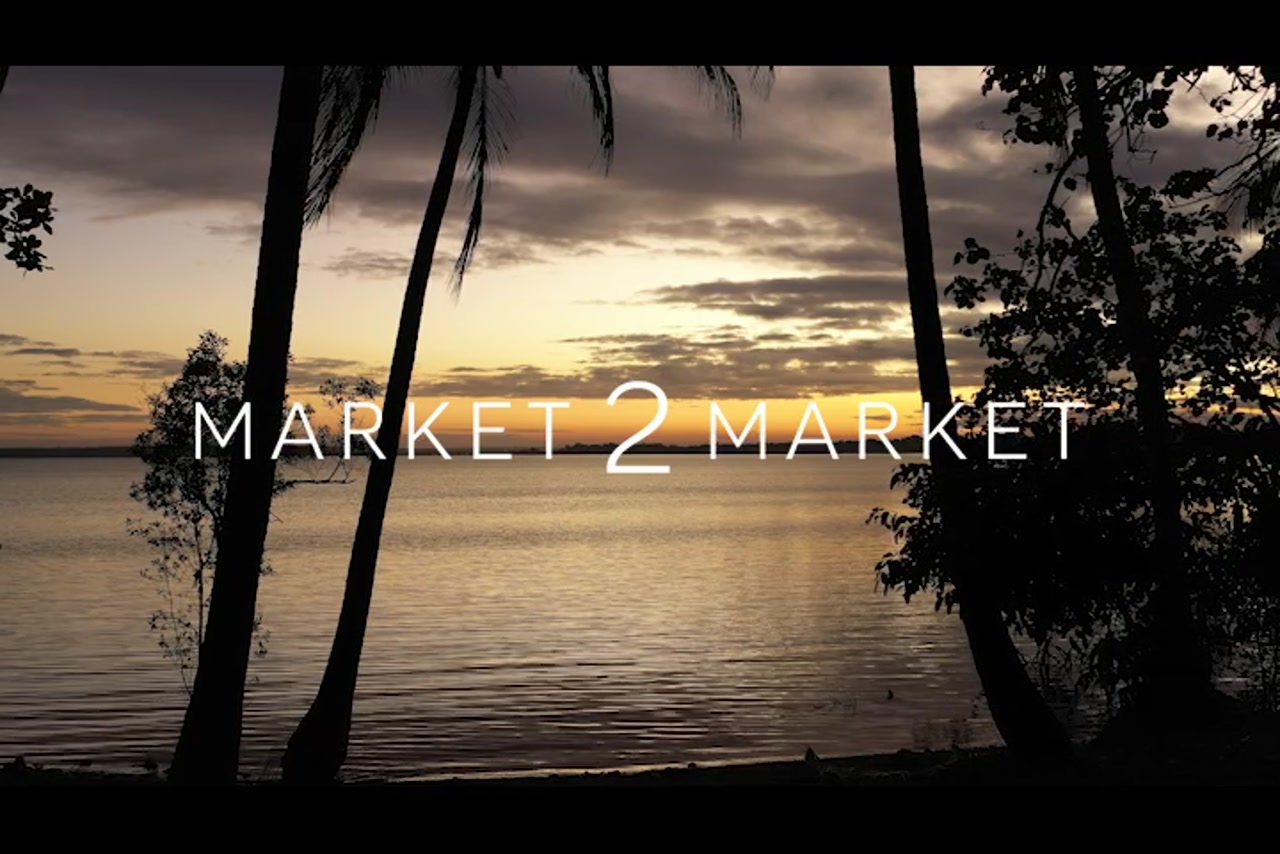 Aerial Footage of silhouette of palm tree and coastline at dusk, Western Cape York – 0612
