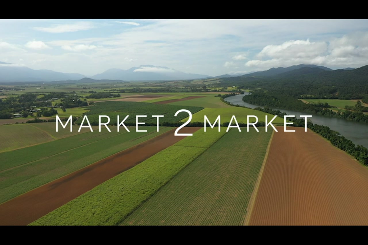 Aerial footage of agricultural fields in Far North Queensland