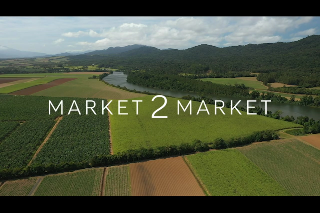 Aerial footage of agricultural fields in Far North Queensland