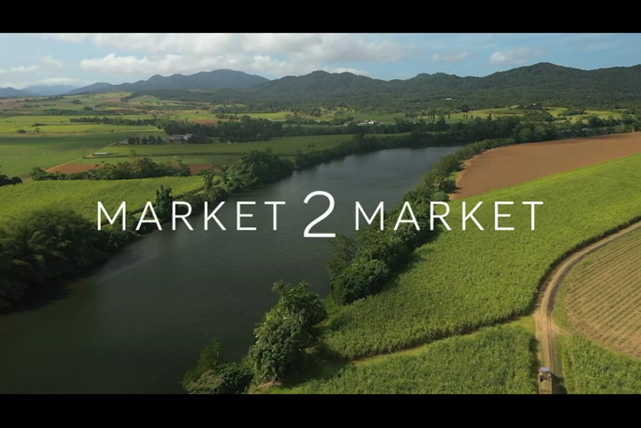 Aerial footage of agricultural fields and a river in Far North Queensland