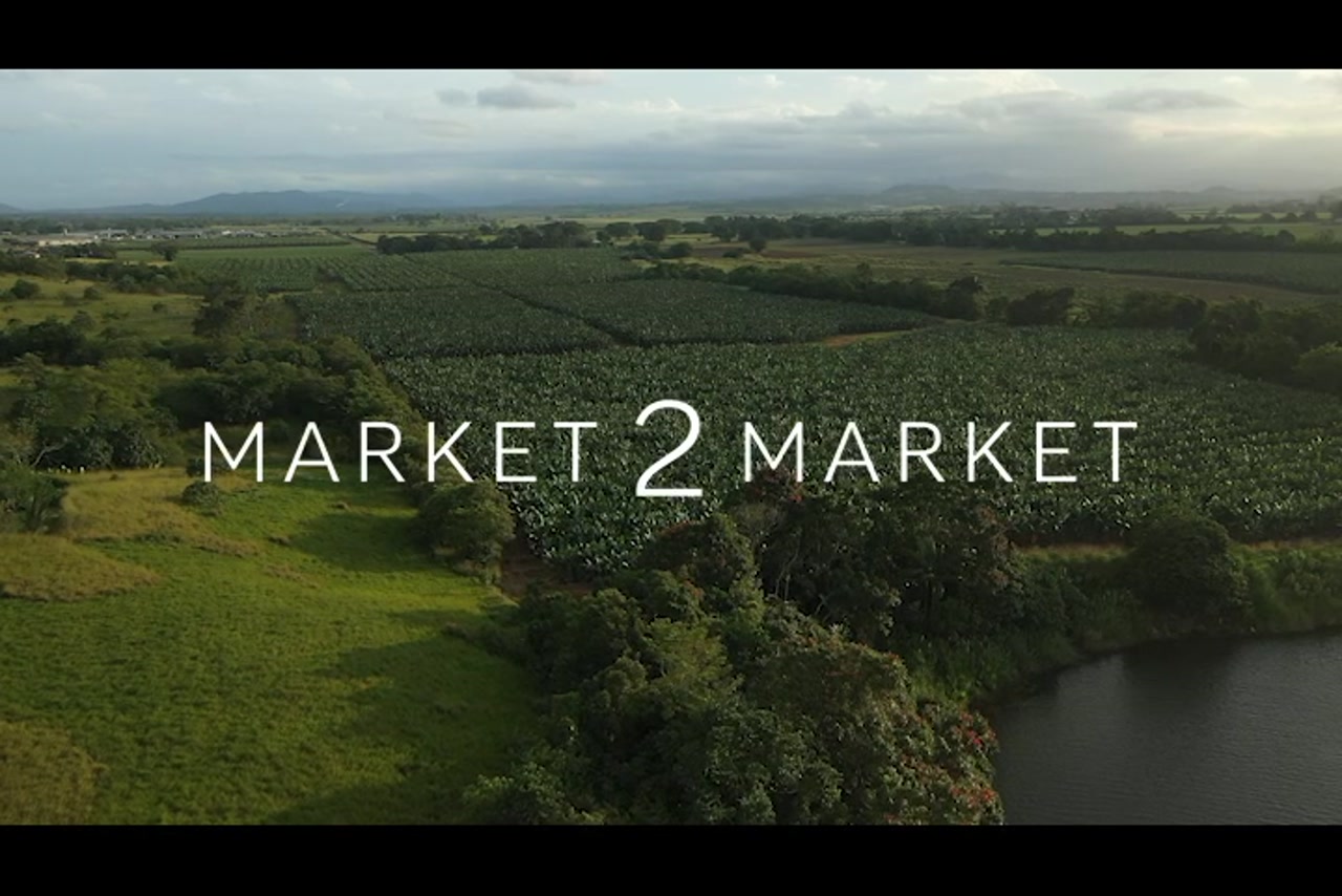 Aerial footage over agricultural fields in Far North Queensland