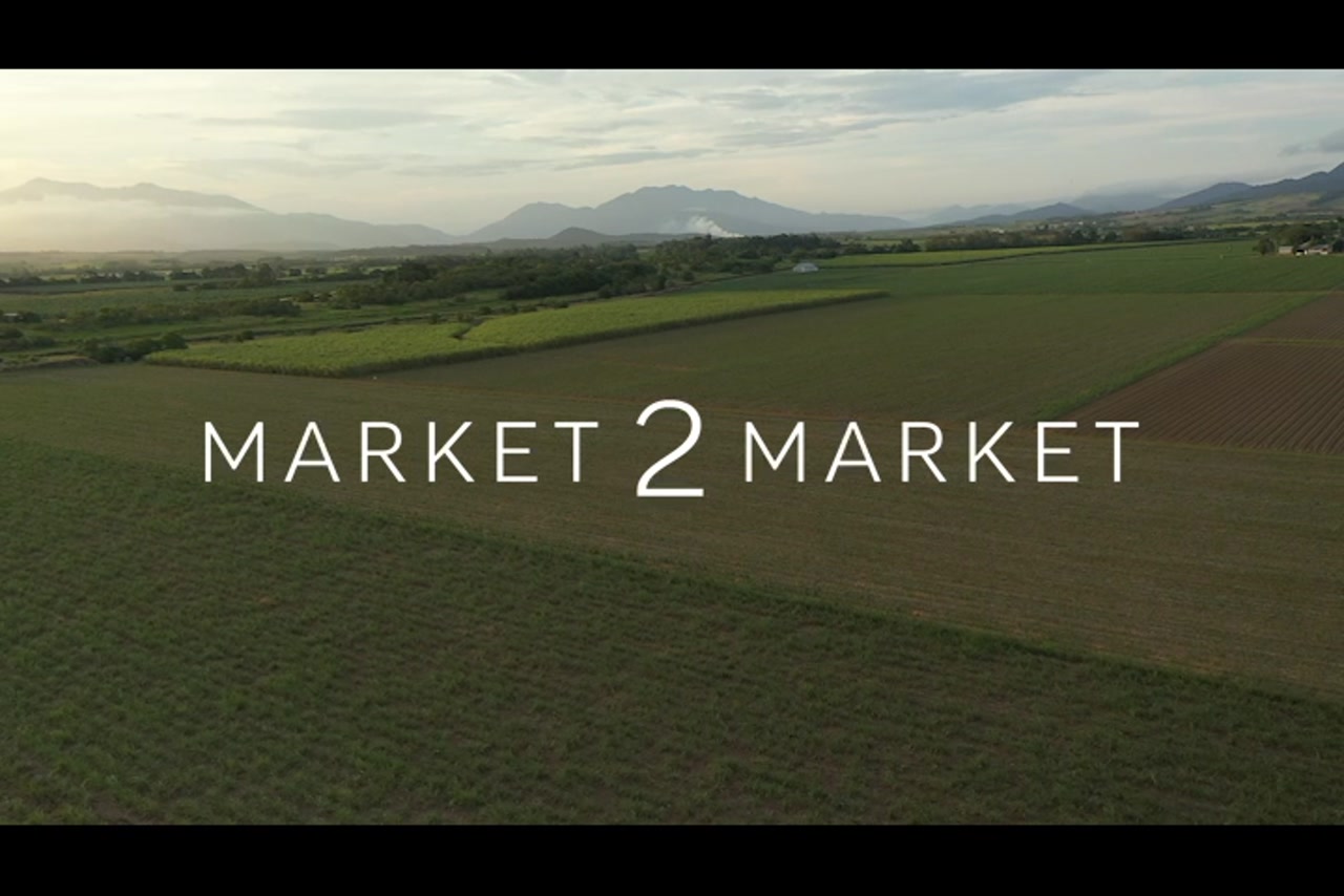 Aerial footage over agricultural fields in Far North Queensland