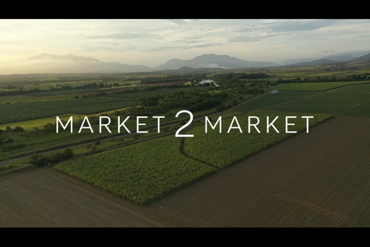 Aerial footage over agricultural fields in Far North Queensland