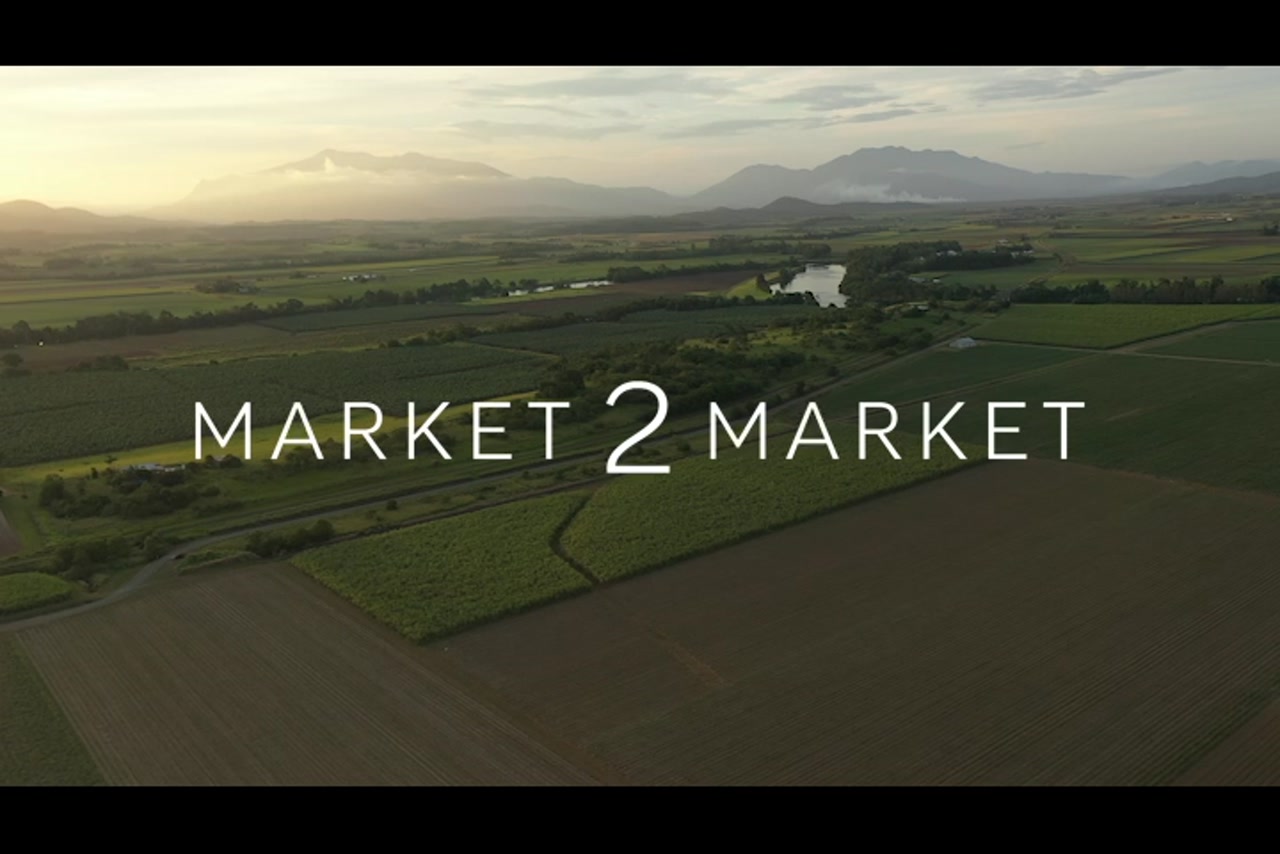 Aerial footage over agricultural fields in Far North Queensland