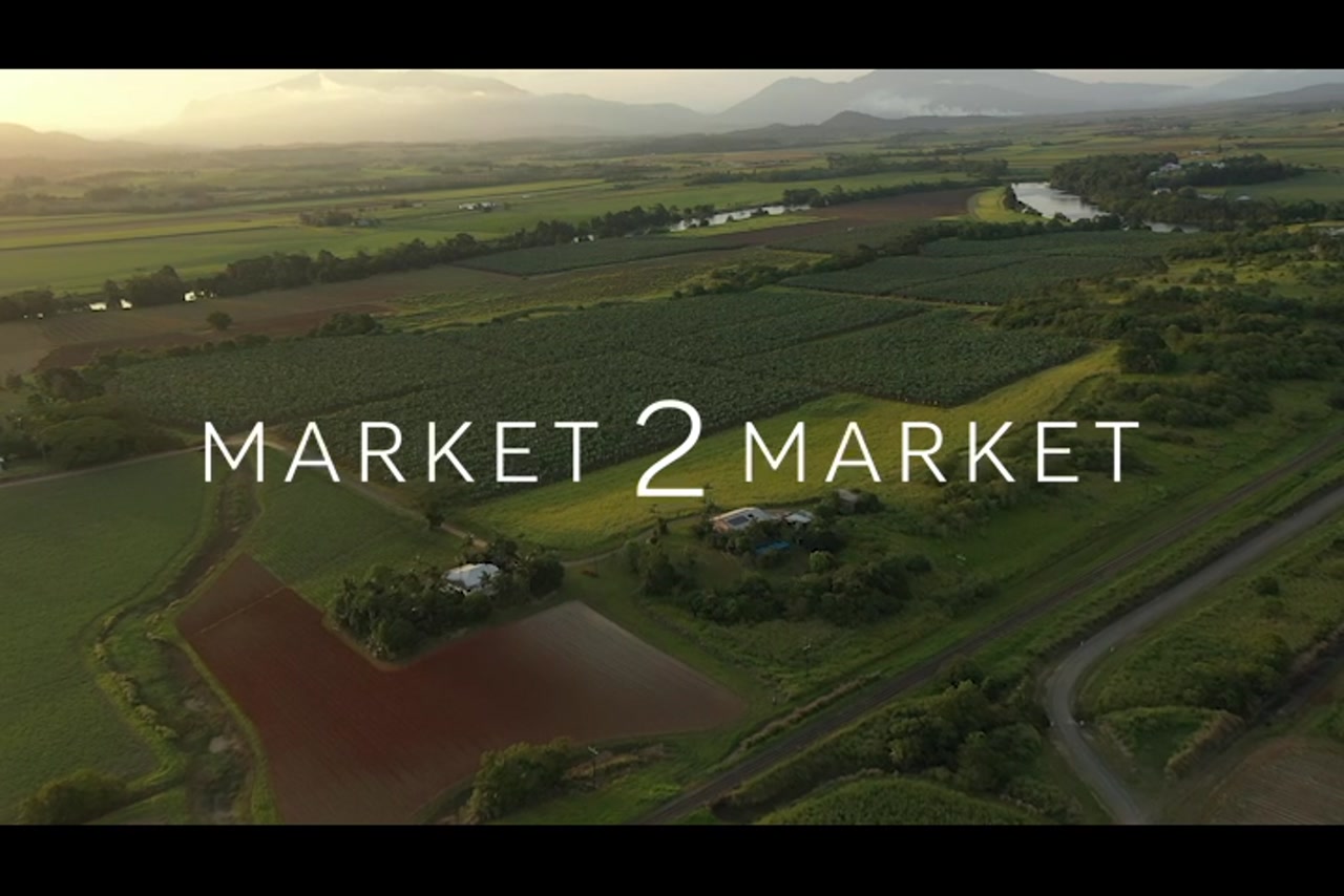 Aerial footage over agricultural fields in Far North Queensland