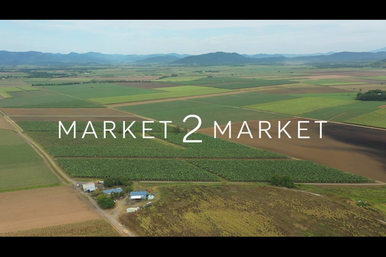 Aerial footage over agricultural fields in Far North Queensland