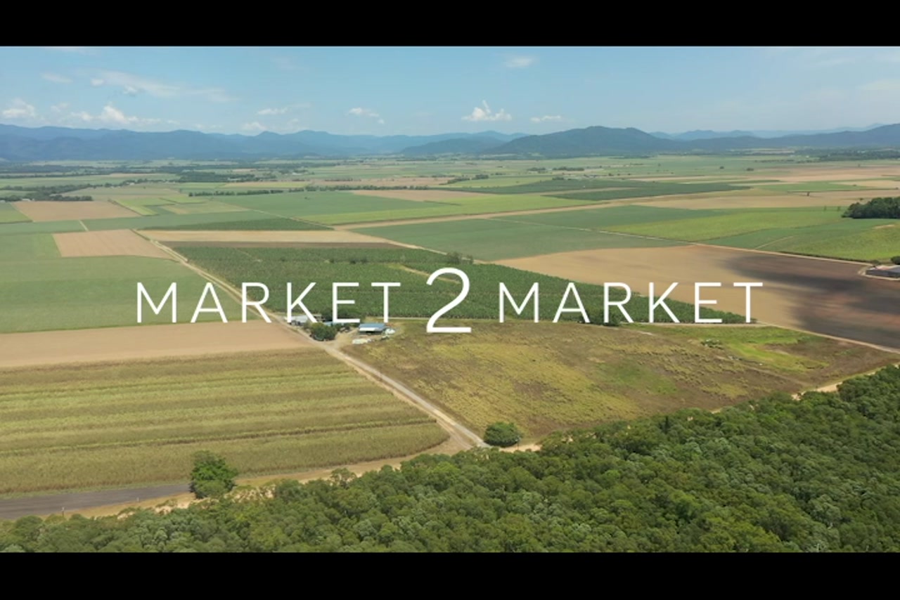 Aerial footage over agricultural fields in Far North Queensland