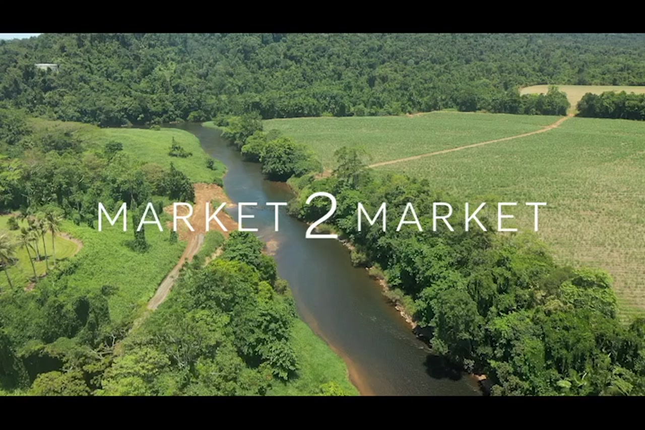 Aerial footage over agricultural fields and river in Far North Queensland