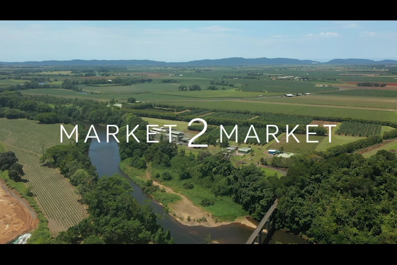 Aerial footage over agricultural fields, Far North Queensland