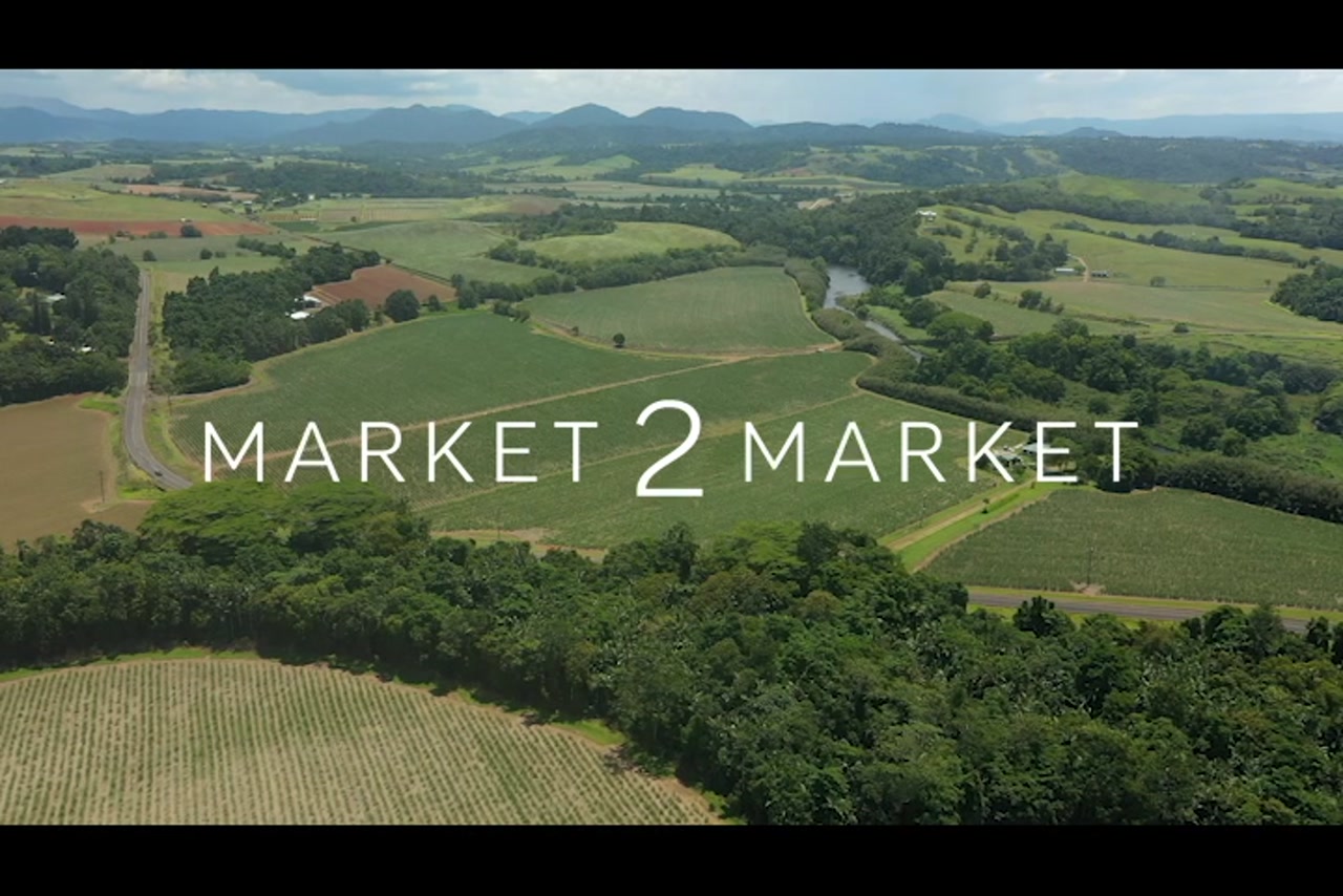 Aerial footage over agricultural fields, Far North Queensland