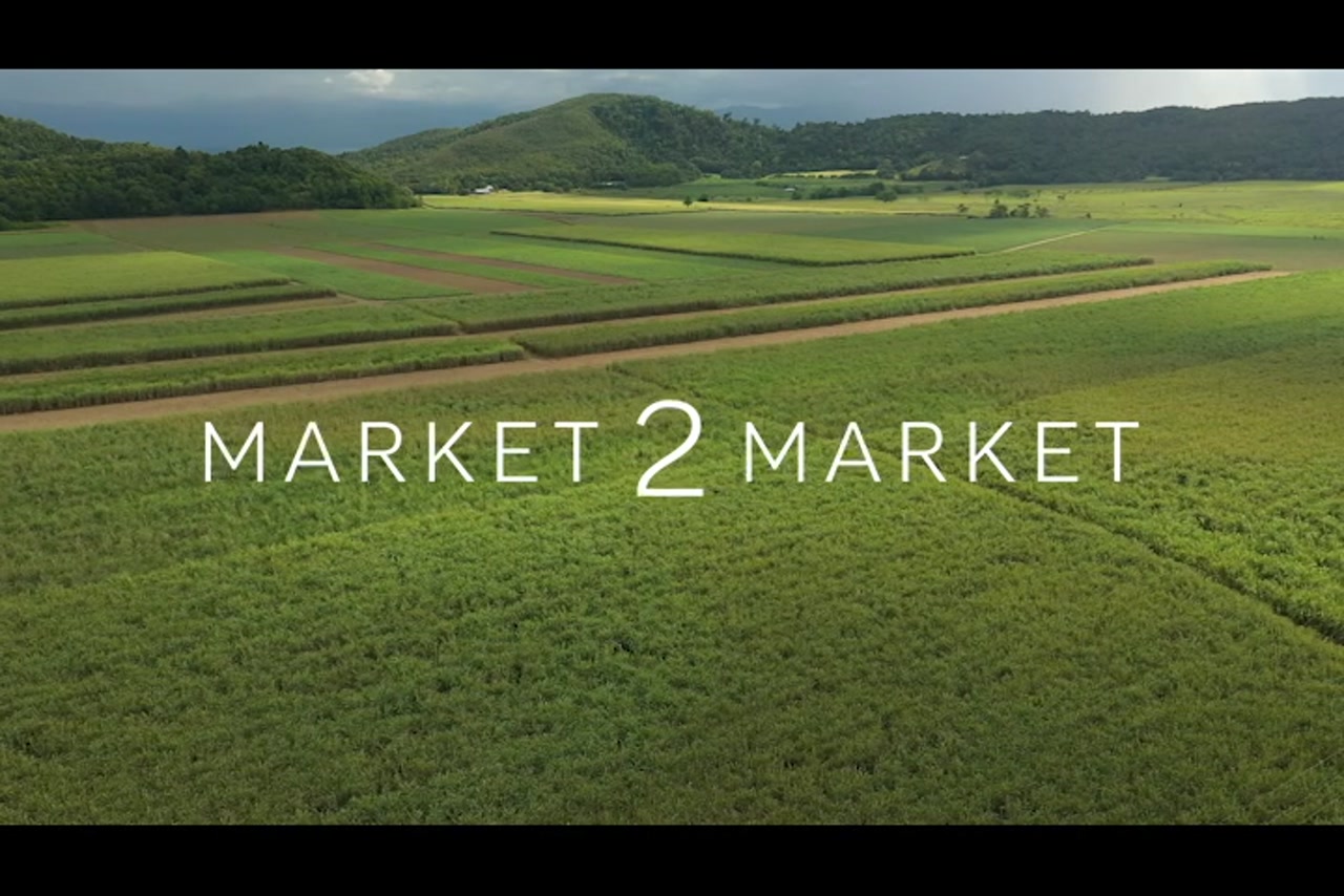 Aerial footage over agricultural fields, Far North Queensland