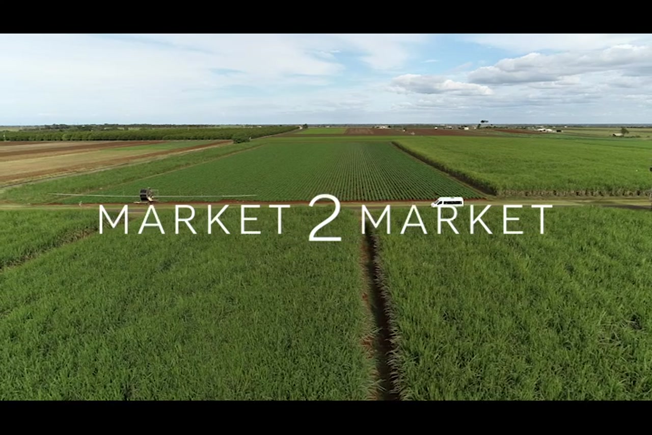 Aerial footage of agricultural fields, North Queensland