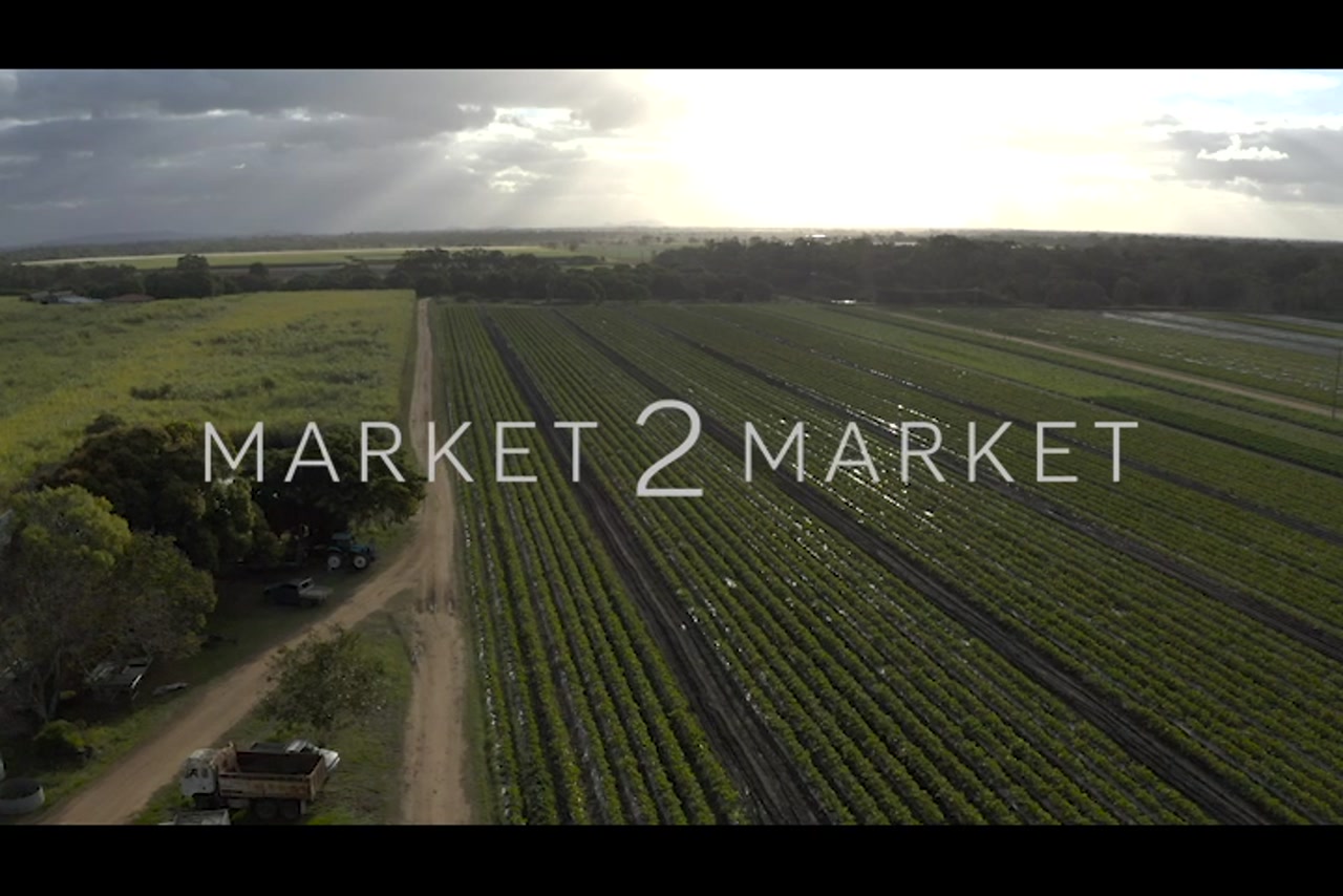 Aerial footage of farmland at Dusk, North Queensland