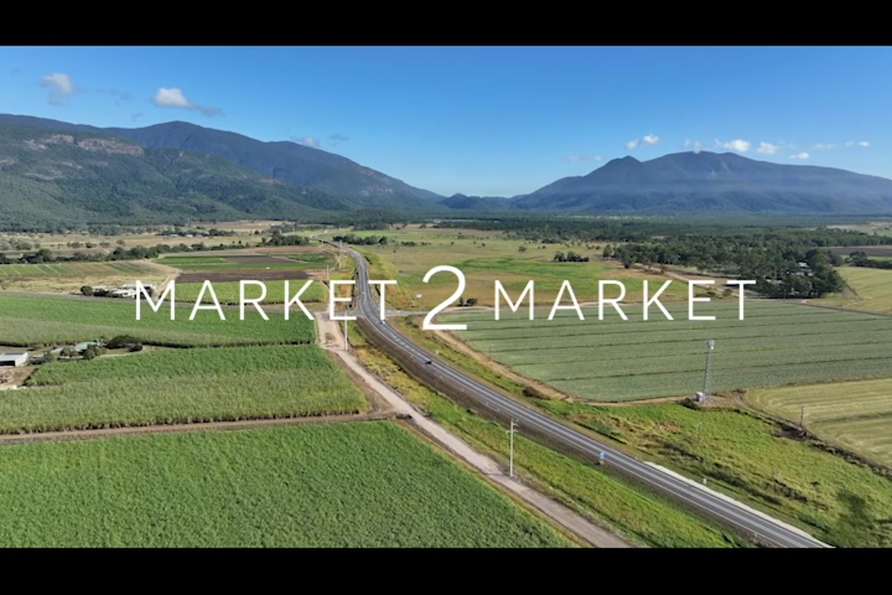 Aerial footage of sugarcane fields in the Mackay region