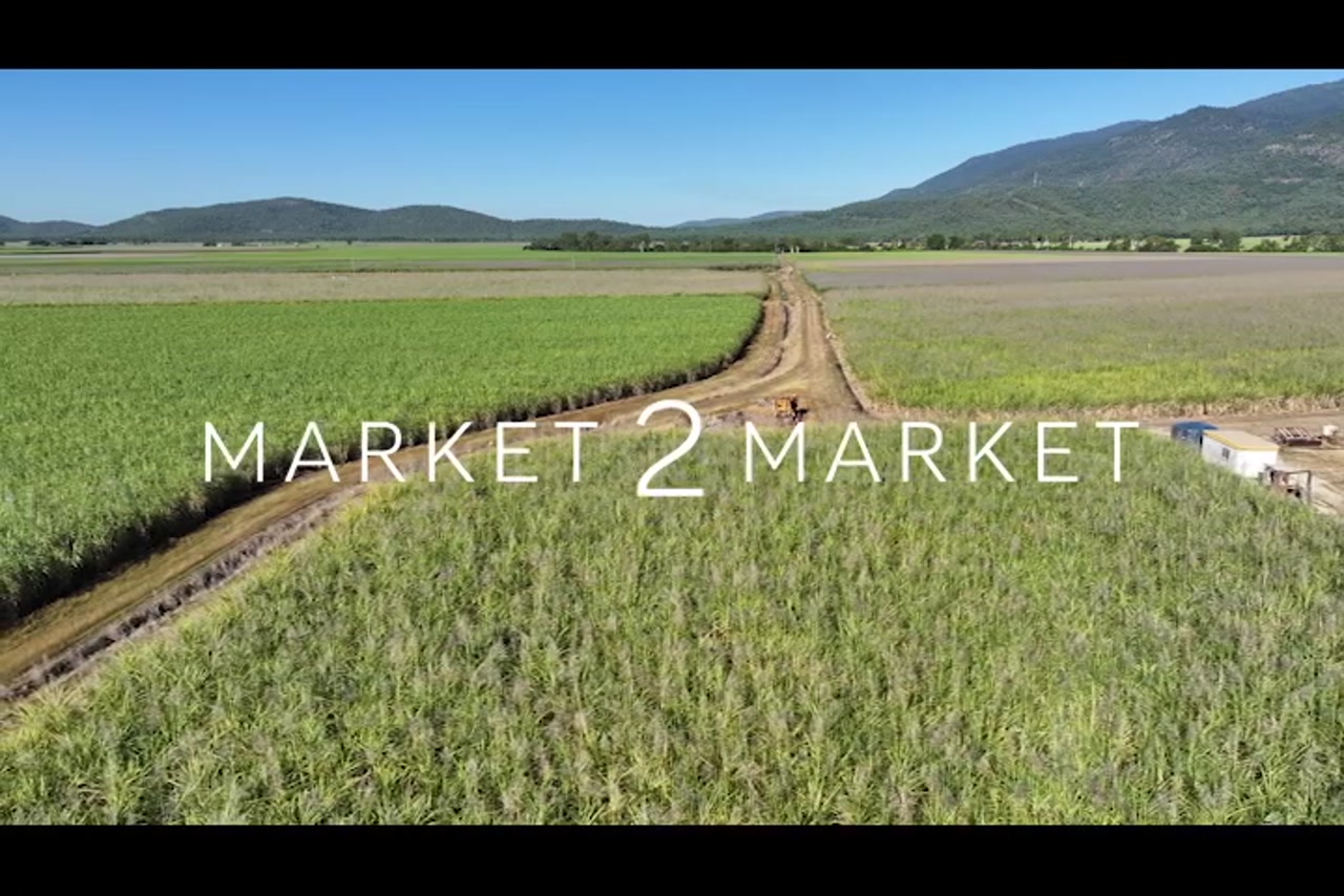 Aerial footage of sugarcane fields in the Mackay region