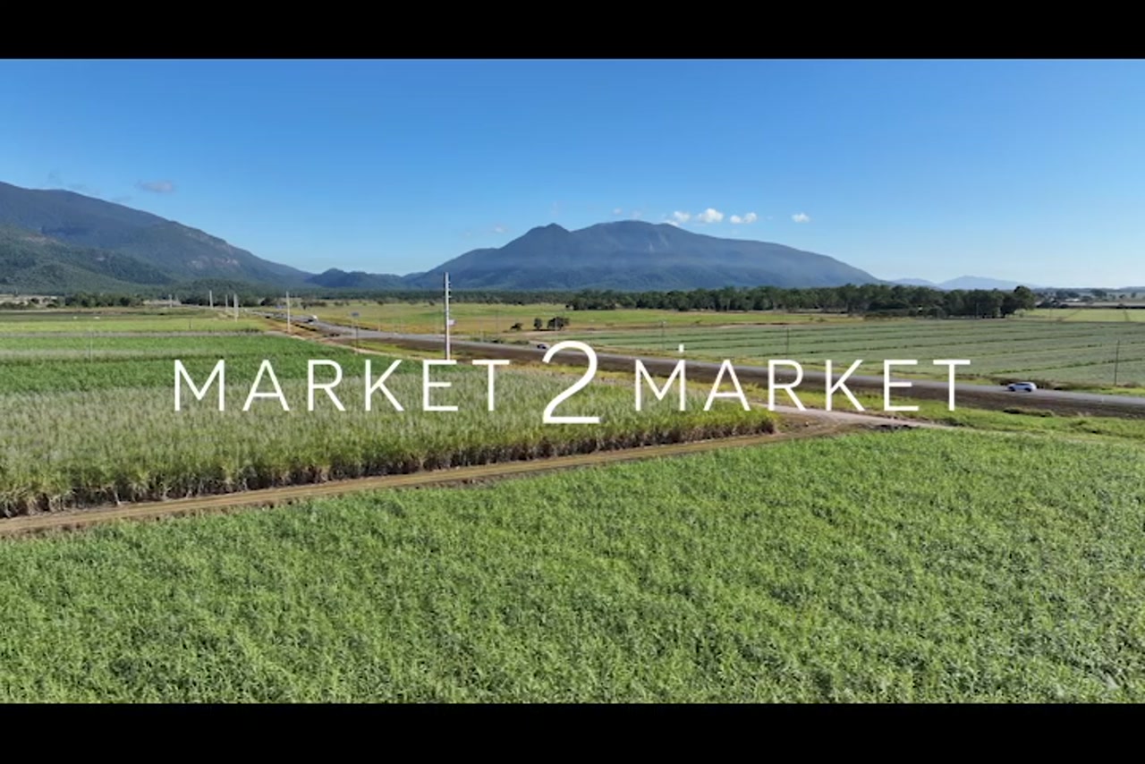 Aerial footage of sugarcane fields in the Mackay region