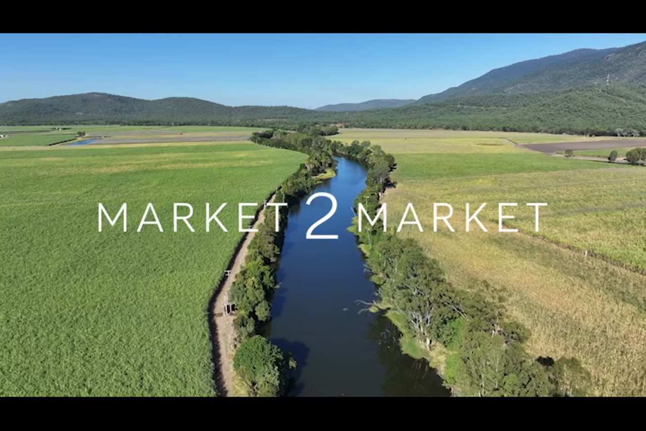 Aerial footage of Pioneer River winding through vast sugarcane fields in the Mackay region