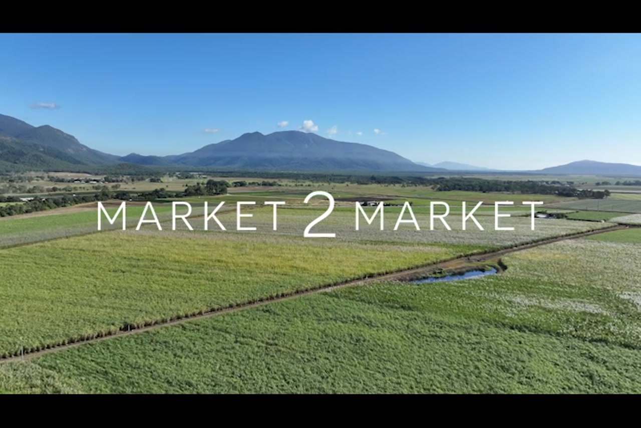 Aerial footage of sugarcane fields in the Mackay region