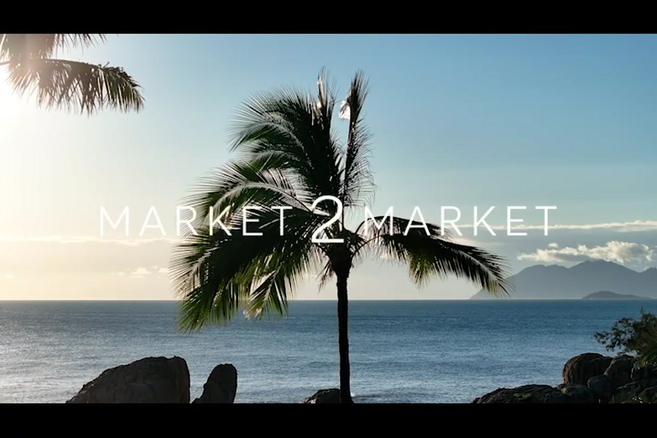 Aerial Footage of silhouette of palm trees along coastline in Cairns