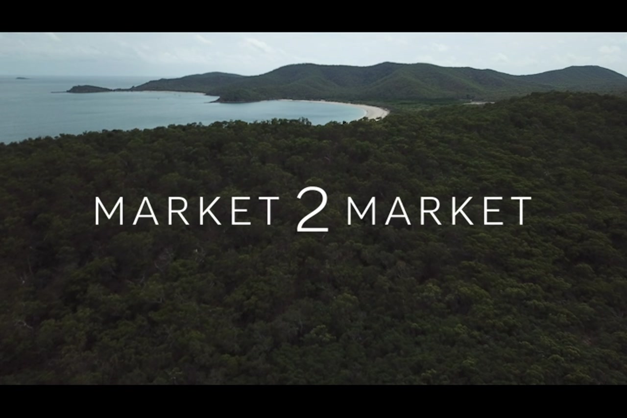 Aerial footage over dense vegetation on Great Keppel Island