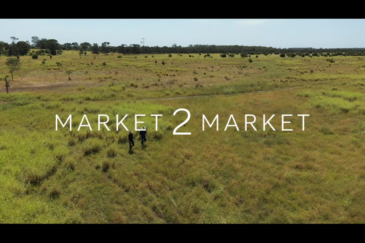 Aerial footage of two farmers walking through a pastoral paddock