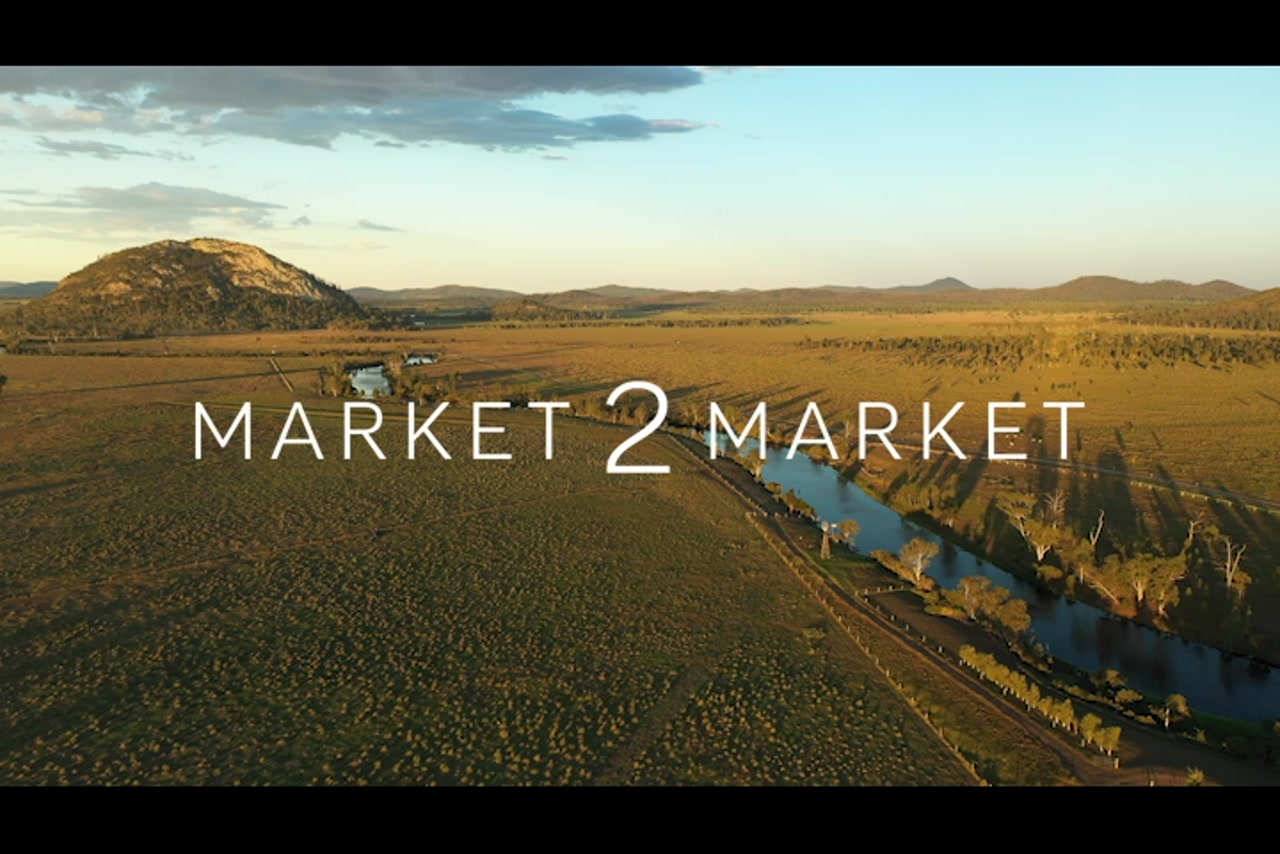Aerial footage along Hedlow Creek at dusk
