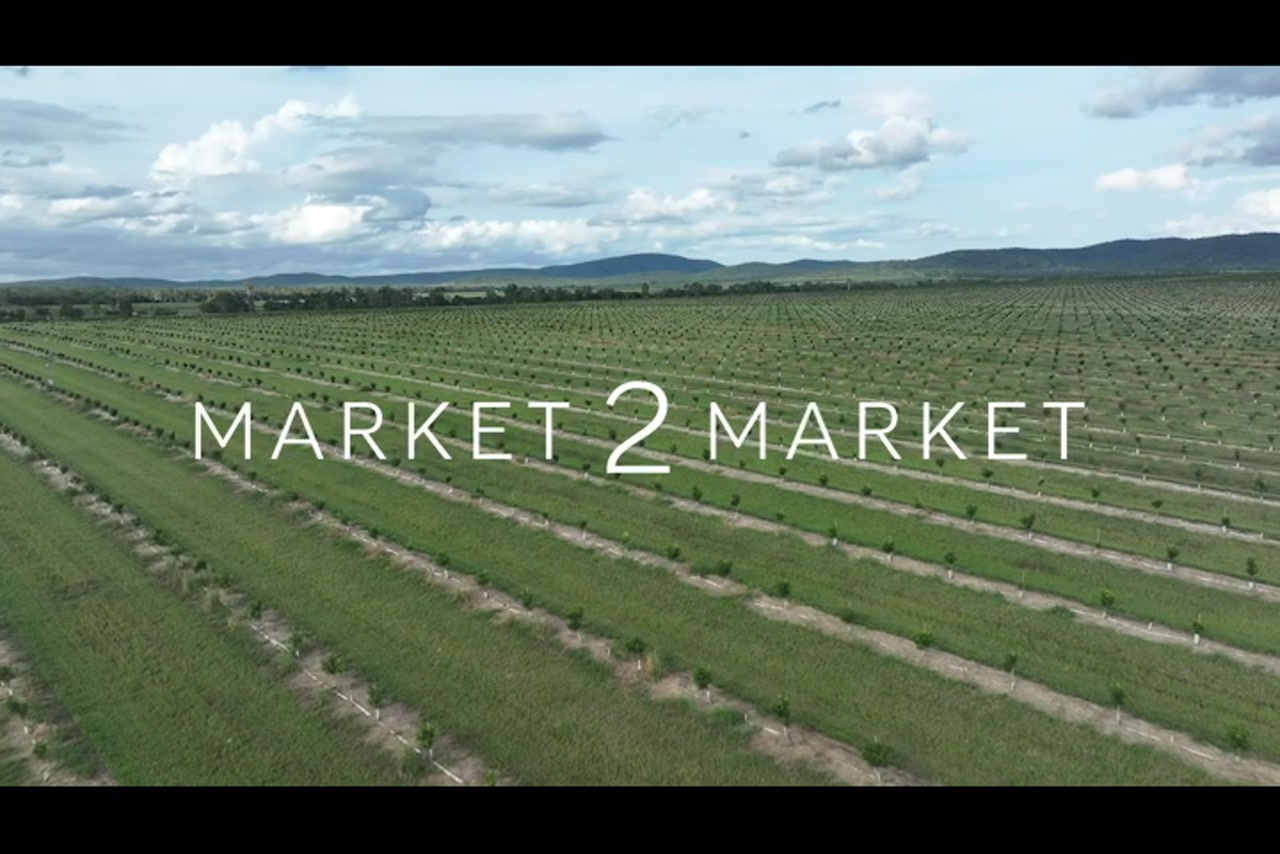 Aerial footage of rows of crops in agricultural fields