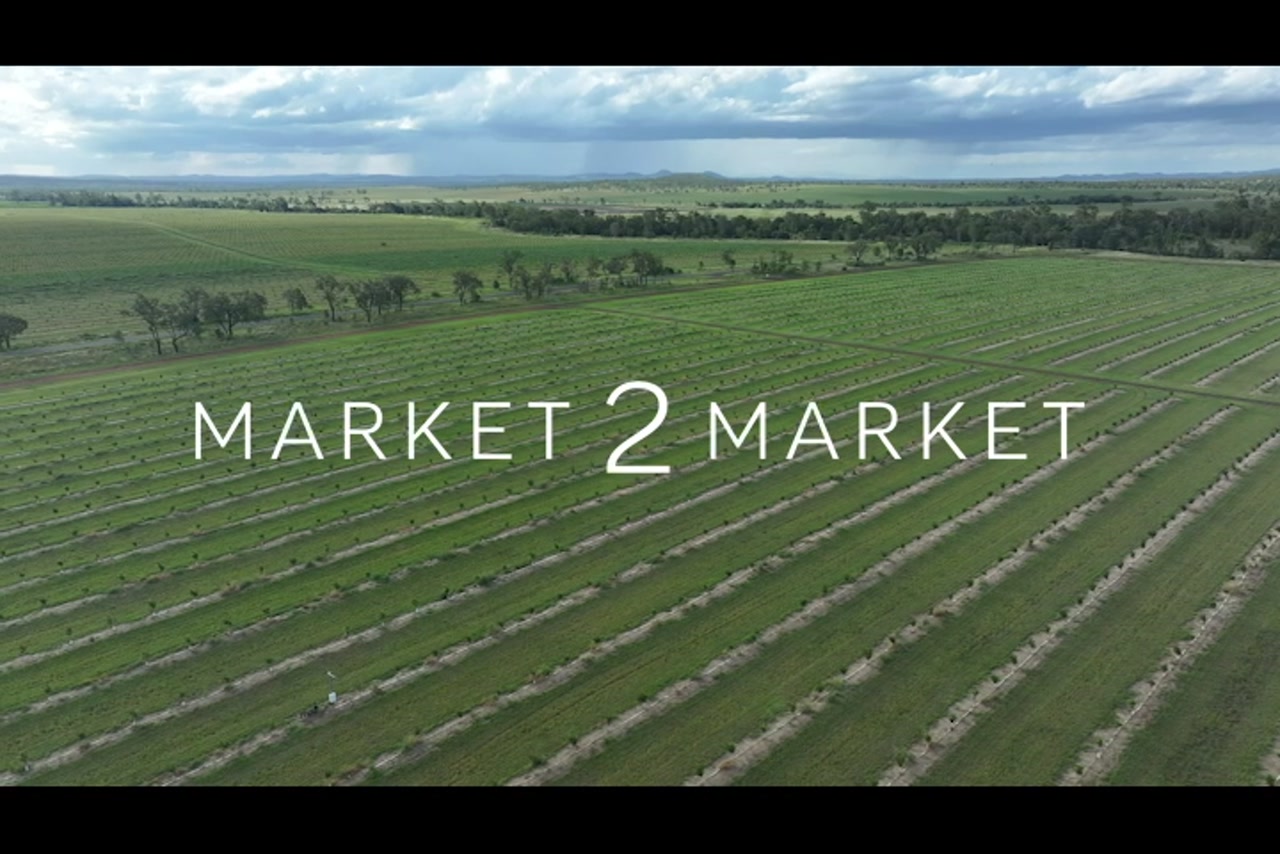 Aerial footage of rows of crops in agricultural fields