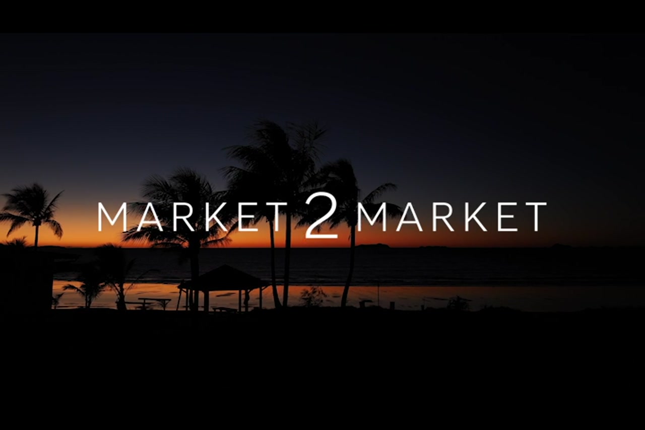 Aerial footage of silhouette of palm trees at sunset