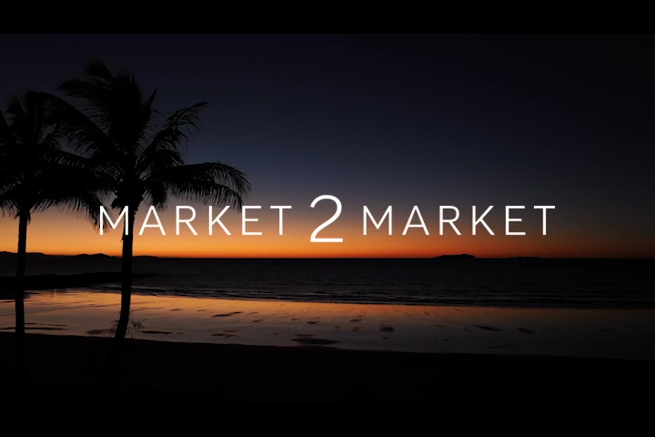 Aerial footage of silhouette of palm trees at sunset
